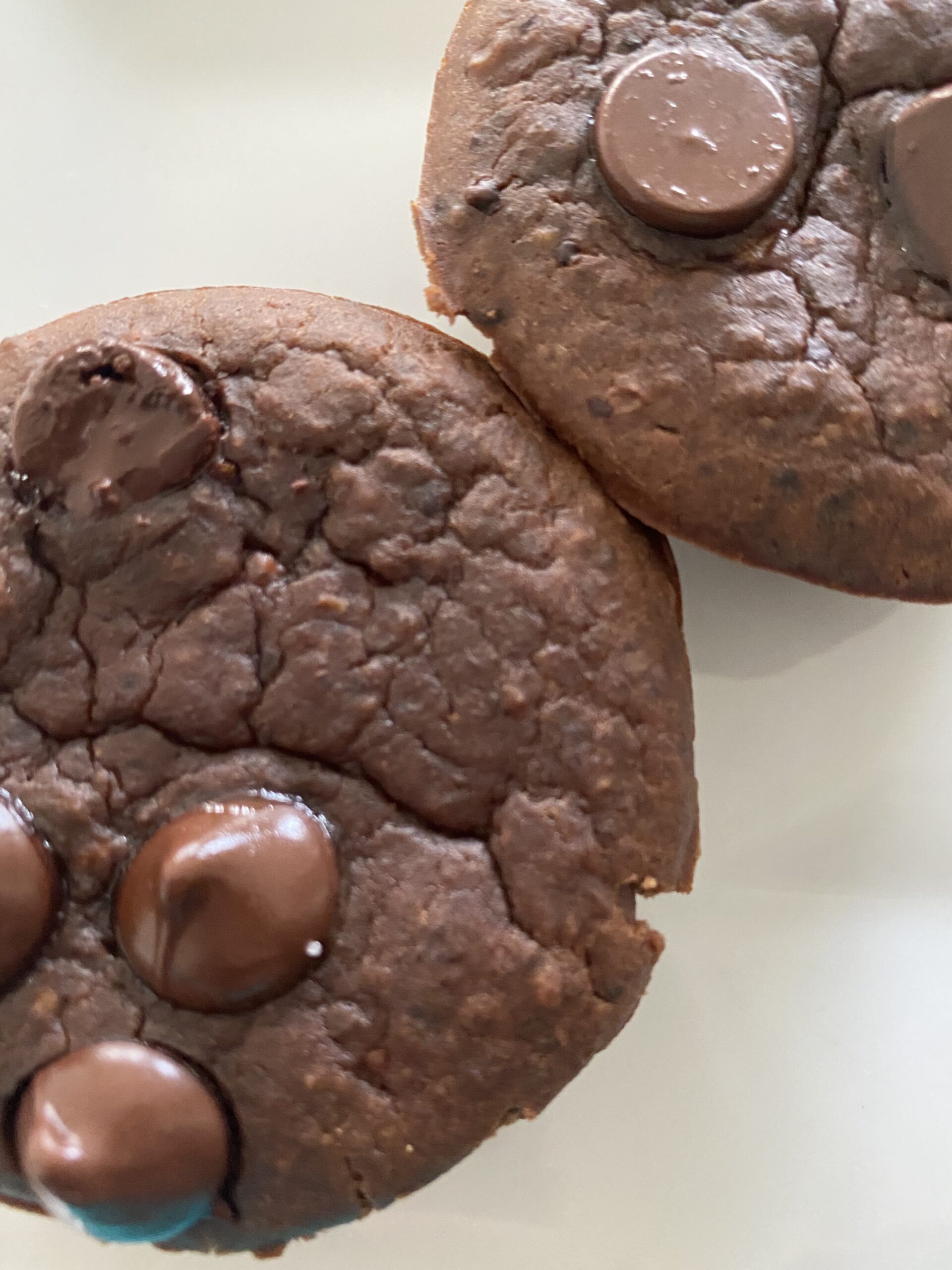 Flourless Black Bean Chocolate Muffins ready to enjoy
